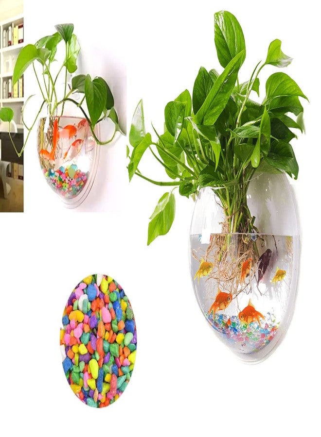 حوض سمك بيتا معلق على الحائط من VAYINATO®، مقاس 12 بوصة - حصى ملونة من Petzlifeworld - Image 2